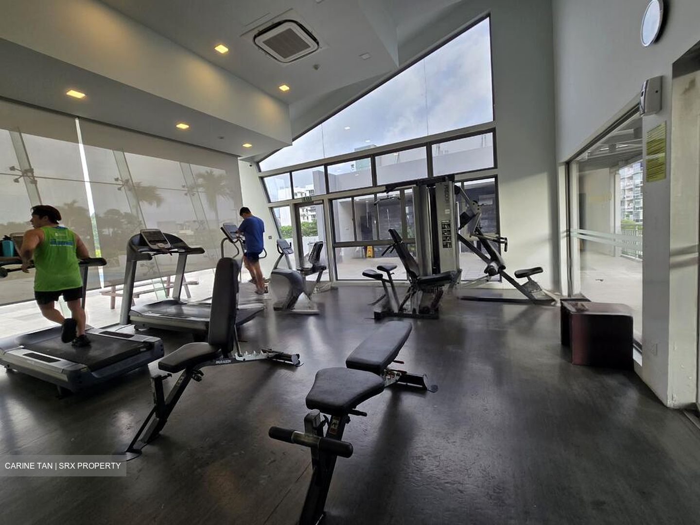 Bukit Timah Plaza / Sherwood Towers (D21), Apartment #469773951